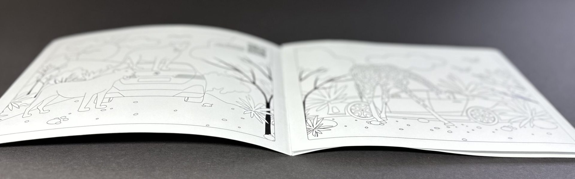 Nasze projekty – drukarnia cyfrowa Poznań Axlo